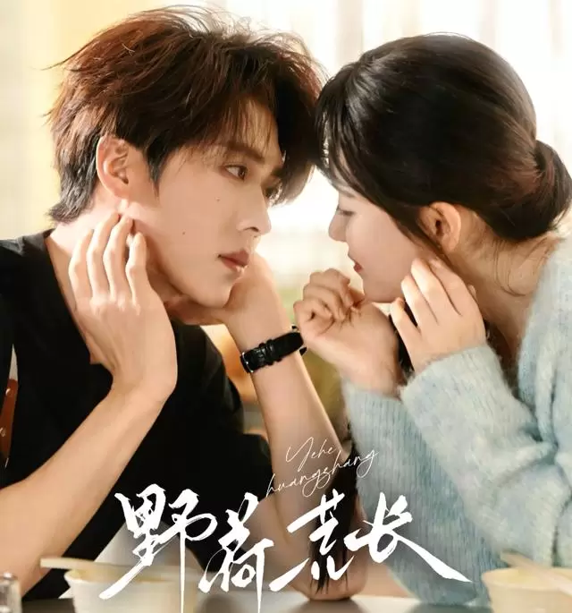 《亲爱的小冤家》登红果短剧热播榜第三，曾辉张晋宜演绎青梅竹马先婚后爱：情报图